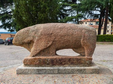 El verraco, Roma öncesi medeniyetlerin taş anıtı Ciudad Rodrigo, Salamanca, İspanya