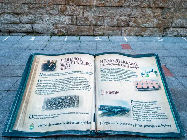 Книга Камне Историей Ciudad Rodrigo Salamanca Spain Стоковая Картинка