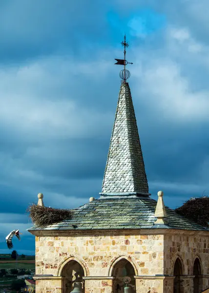 Une Cigogne Dans Une Vieille Église Pierre Zamora Photo De Stock