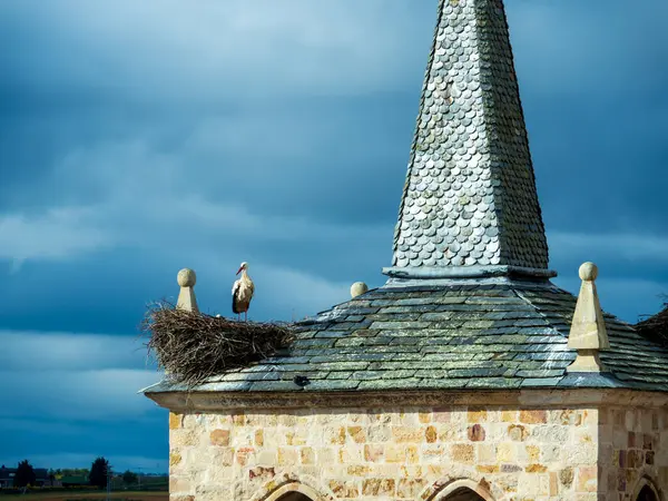 Une Cigogne Dans Une Vieille Église Pierre Zamora Image En Vente