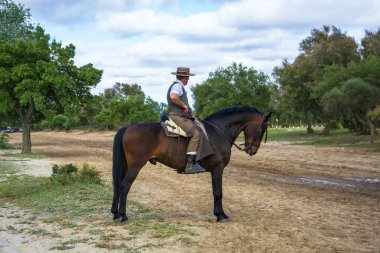 Mayıs 2024. İspanya 'nın Huelva eyaletinin Almonte kasabasındaki El Rocio kasabasında sona eren hac yolculuğunu at sırtında, at arabasında ve yaya olarak yapanlar.