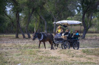 Almonte, Huelva, Spain. 05/16/2024.  Group of pilgrims on foot following the ox cart at the entrance to Almonte, during the pilgrimage of the Romera del Rocio. clipart