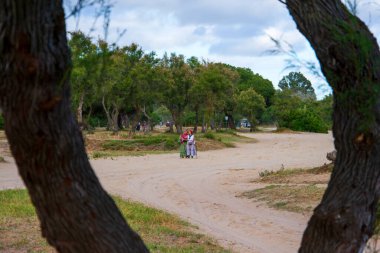 Almonte, Huelva, İspanya. Her yaştan ve kökenden gelen hacılar Doana Doğal Parkı 'nın kumları üzerinden yaya, at sırtında veya at arabasıyla El Roco köyüne giderler..