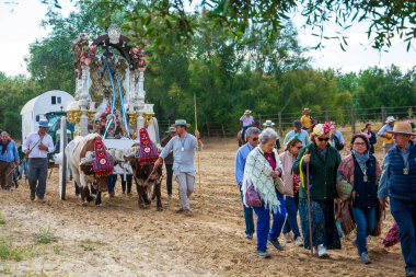 Almonte, Huelva, Spain. 05/16/2024.  Group of pilgrims on foot following the ox cart at the entrance to Almonte, during the pilgrimage of the Romera del Rocio. clipart