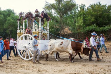 Almonte, Huelva, Spain. 05/16/2024.  Group of pilgrims on foot following the ox cart at the entrance to Almonte, during the pilgrimage of the Romera del Rocio. clipart