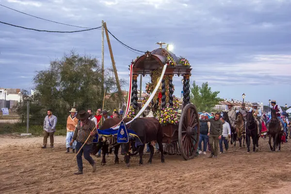 stock image Almonte, Huelva, Spain. 05/16/2024.  Group of pilgrims on foot following the ox cart at the entrance to Almonte, during the pilgrimage of the Romera del Rocio.