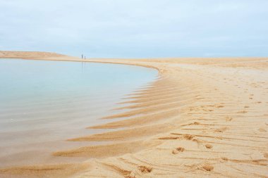 Sahilde kum tepeleri