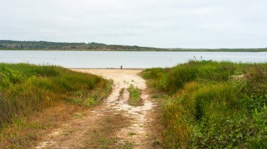 Göle giden toprak yol.