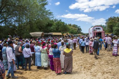 Almonte, Huelva, İspanya. 05/17/2024. Hacılar yaya ve at arabalarıyla yolculuklarını Huelva 'nın Almonte kentindeki El Rocio köyüne vardıklarında tamamlarlar..
