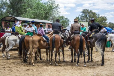 Almonte, Huelva, İspanya. 05/17/2024. Hacılar yaya ve at arabalarıyla yolculuklarını Huelva 'nın Almonte kentindeki El Rocio köyüne vardıklarında tamamlarlar..