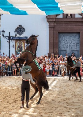 09/20/2024. Fuengirola, Malaga, İspanya. Fuengirola 'daki at festivalinin kutlamaları sırasında safkan bir İspanyol atıyla lise egzersizleri yapan tipik Endülüs kovboy kostümü giymiş yaya bir sürücü..