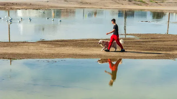 Young boy walking near the beach with his dog in Torre del Mar, Spain.