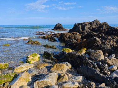 Akdeniz 'in deniz kıyısında.