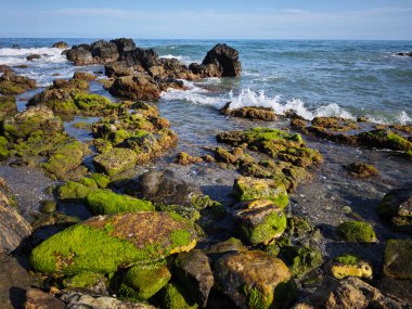 Doğanın güzel manzarası