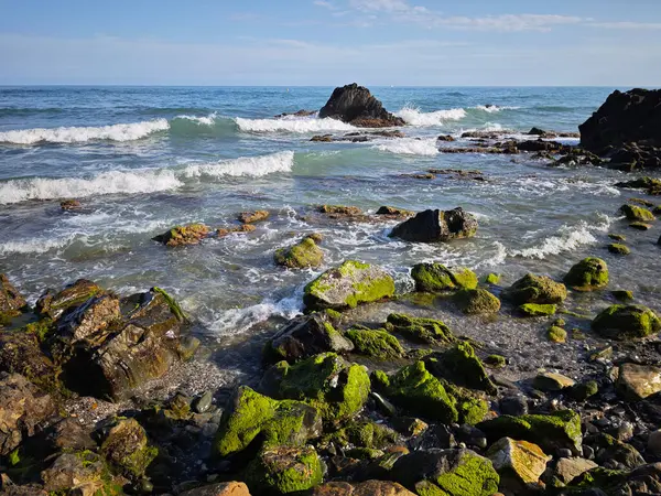 Deniz kıyısının güzel manzarası