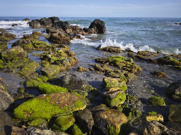 Doğanın güzel manzarası