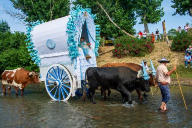 Huelva, Endülüs, İspanya. 4 Haziran 2025. Öküz arabaları, El Roco Bakiresi onuruna Quema Nehri 'ni her yıl yaptıkları kutsal yolculukta geçerler..