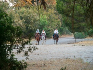 Huelva, Endülüs, İspanya. 4 Haziran 2025. Huelva 'nın El Rocio köyüne yıllık hac yolculuğu için Quema Nehri' ni at sırtında geçen hacılar..