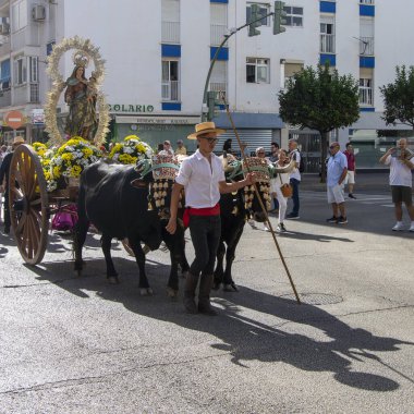 Fuengirola, Mlaga, İspanya. 28 Eylül 2025. Fuengirola 'nın Bakiresi' nin haccında geleneksel Endülüs kostümü giymiş öküzlere yol göstermekten sorumludur..