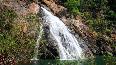 Dudhsagar Şelalesi, Güney Goa, Hindistan - Hindistan 'ın en yüksek şelalelerinden biri