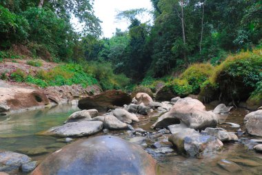 Bandarban, Bangladeş 'teki Kayalar