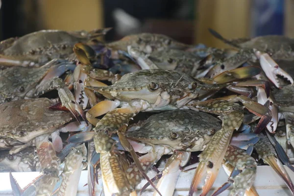 Closeup Shot of Crabs in the Seafood Market of Cox's Bazar, Bangladesh