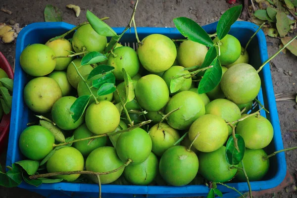 Piyasada Taze Yeşil Limon — Stok fotoğraf