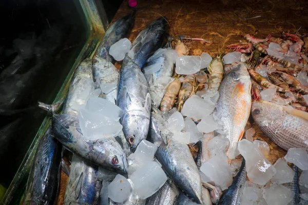 Fresh Fishes with Ice in the Market of Cox\'s Bazar Sea Beach, Bangladesh