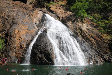 Dudhsagar Şelalesi Manzarası, Güney Goa, Hindistan - Hindistan 'ın en yüksek şelalelerinden biri