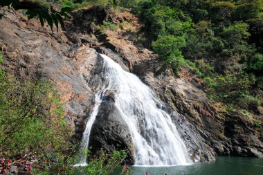 Dudhsagar Şelalesi, Güney Goa, Hindistan - Hindistan 'ın en yüksek şelalelerinden biri