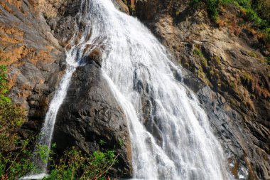 Dudhsagar Şelalesi, Güney Goa, Hindistan - Hindistan 'ın en yüksek şelalelerinden biri