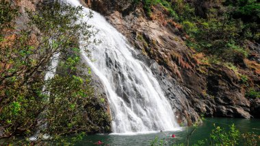Dudhsagar Şelalesi, Güney Goa, Hindistan - Hindistan 'daki en uzun şelalelerden biri