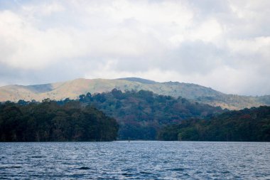 Thekkady, Kerala, Hindistan 'daki Periyar Ulusal Parkı' nda Panoramik Görünüm