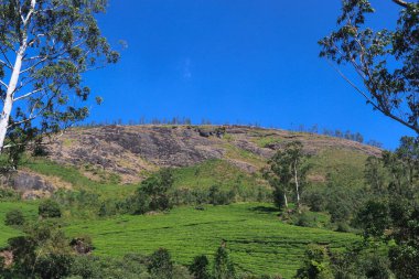 Eravikulam Ulusal Parkı 'ndan muhteşem Dağ Manzarası, Munnar, Kerala, Hindistan