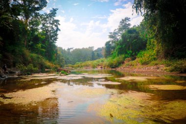 Bandarban, Bangladeş 'te dere, orman ve patikalar