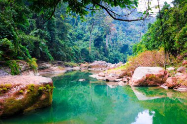 Bandarban, Bangladeş 'teki Tepeler ve Dereler Arasında Yolculuk