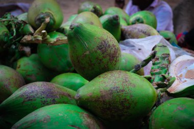 Yeşil Hindistan Cevizi - Sağlıklı Yaşam İçin Besleyici Bir İçecek