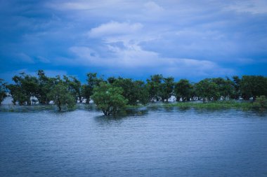 Hindistan, Tamil Nadu 'da Hogenakkal Şelaleleri