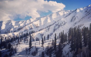 Gulmarg, Kashmir, Hindistan 'daki Çam Ormanları ile birlikte Karlı Dağların Muhteşem Manzarası
