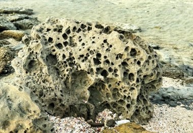 Ölü Mercan, Ashore 'u Saint Martin' de yıkadı