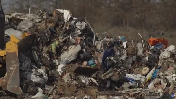 住宅地近くの家庭廃棄物の大規模な蓄積 家庭廃棄物の利用 環境汚染 生態学的大惨事 — ストック動画
