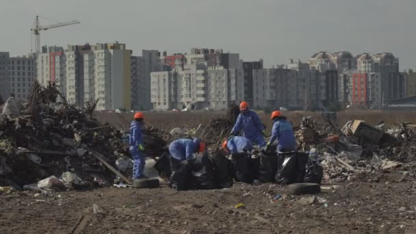 Müllsortierkonzept Männer Und Frauen Füllen Verschiedene Abfälle Spezielle Müllsäcke Sie — Stockvideo