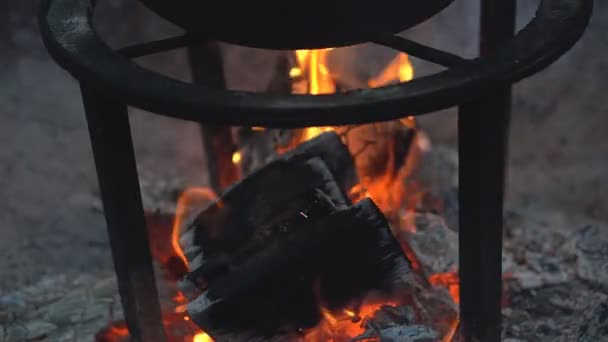Διαδικασία Του Μαγειρέματος Ένα Καζάνι Μια Φωτιά Μια Δασική Περιοχή — Αρχείο Βίντεο