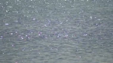 Sakin bir yaz gölünün yüzeyinde güneş parlıyor. Su yüzeyinde parlayan güneş yıldızları güzellikleriyle zevk alırlar..