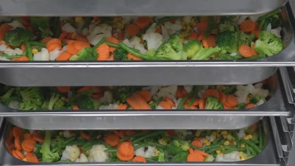 Rohe Schnitzel Und Fleischhalbzeuge Und Salate Der Kulinarischen Abteilung Zum — Stockvideo