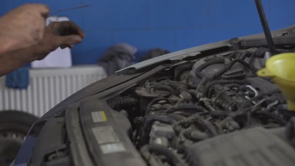 車のエンジンにエンジンオイルを注ぐ機械的な男 — ストック動画