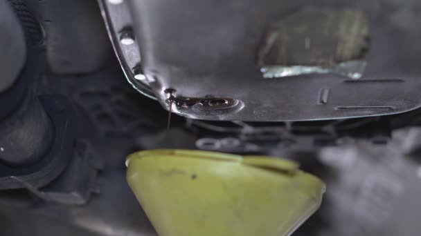 자동차 엔진에 기름을 기계공 — 비디오