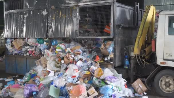 Βιομηχανική Διαλογή Και Επεξεργασία Στερεών Οικιακών Αποβλήτων Για Τον Καθαρισμό — Αρχείο Βίντεο