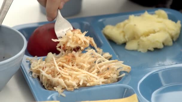 Jedzenie Dla Dzieci Szkole Stołówka Szkolna Organizacja Odżywiania Dzieci Placówkach — Wideo stockowe