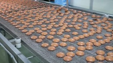 Endüstriyel gıda fabrikası veya fırın, otomatikleştirilmiş üretim hattındaki kurabiyeler veya taşıma bandı, şekerleme fabrikası veya fırın